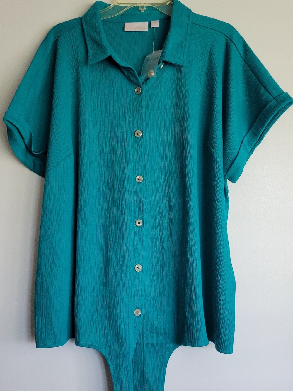 Belle By Kim Gravel Gauze Blouse With Tie Bottom  1X